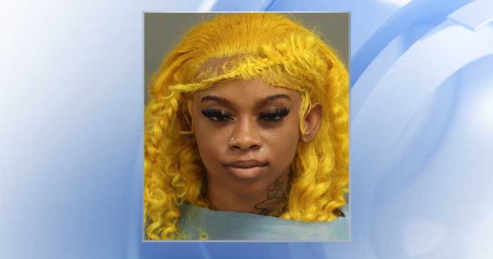 22-year-old charged with multiple offenses after aggressive driving on US