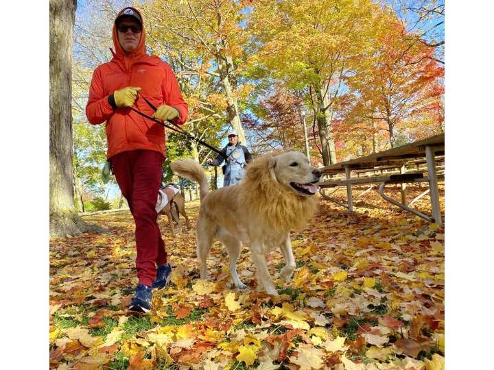 PHOTOS: Tricks and treats during Stratford Dog Walkers' Halloween parade