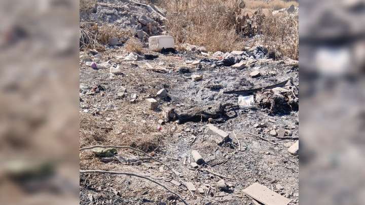 Maldad total. Perros fueron encontrados amarrados y calcinados en lote baldío de Torreón