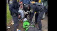 Clarinetist playing 'Ghostbusters' with band arrested at ICE facility