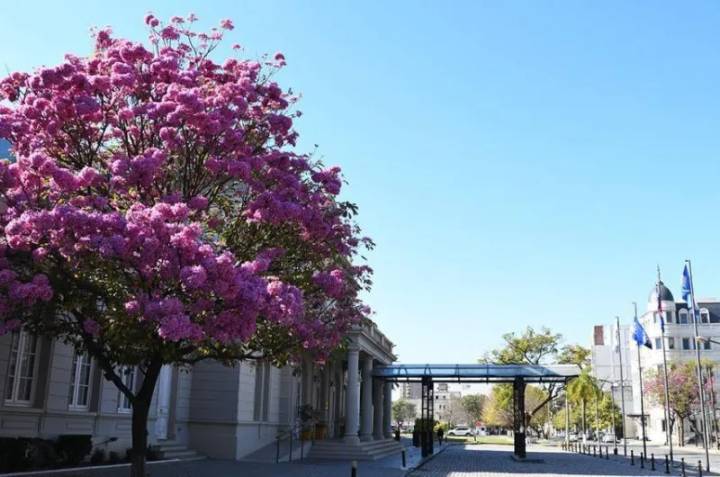 Clima electoral agradable en Santiago: domingo soleado con máxima de 27°