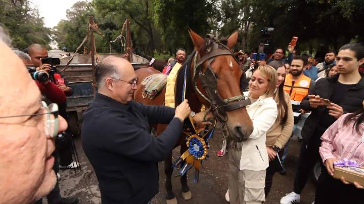 “Jubilan” a caballos que eran usados para recolección de basura en la capital