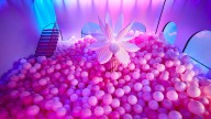 Girl hurt at American Dream ball pit with concrete floor, suit says