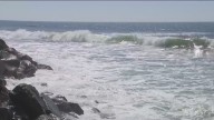 Re:Beach project aims to restore Oceanside's eroding coastline