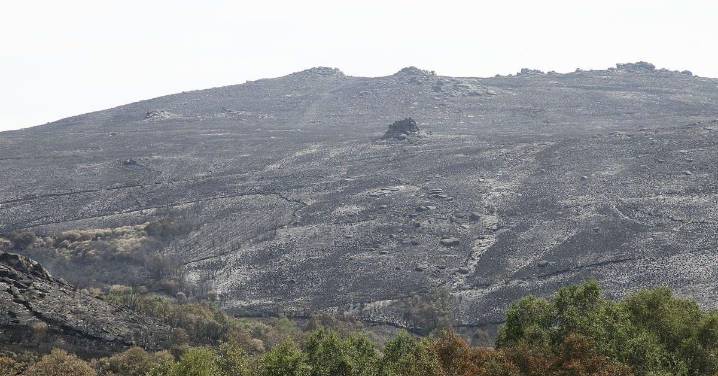Alfonso Rueda pone al Gobierno en el punto de mira por retrasar las ayudas de los incendios