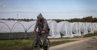 Los agricultores del entorno de Doñana pueden pedir desde este lunes las ayudas de la renaturalización