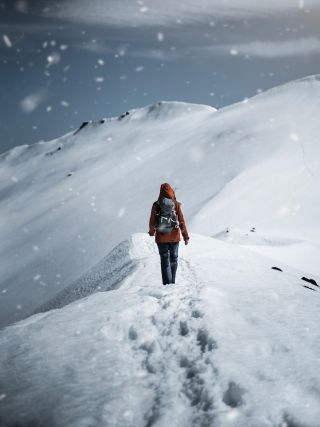 Are You Really "Freezing"? Understanding 2 Key Responses