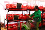 Del Campo a la Ciudad en CDMX: Alcaldías Donde Habrá Frutas y Verduras Muy Baratas Hoy
