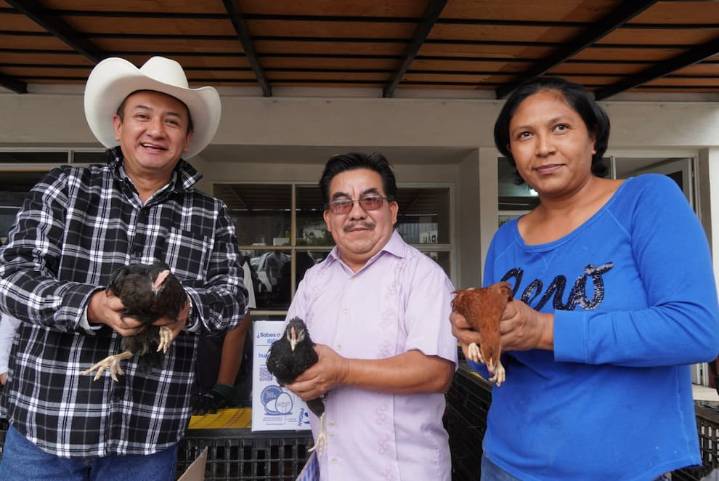 Gobierno de Hidalgo impulsa seguridad alimentaria con entrega de apoyos