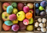 Home & Garden Digest