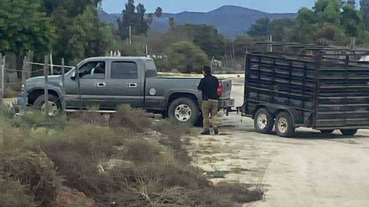 Asesinan a otro hombre; sumaron 6 en la semana