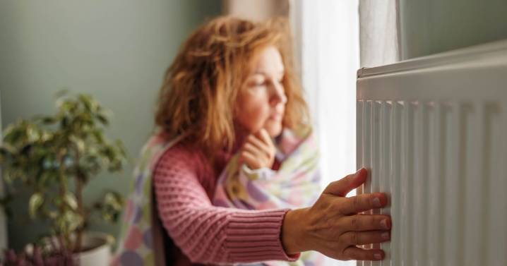 Four jobs in November that make your home warmer all summer