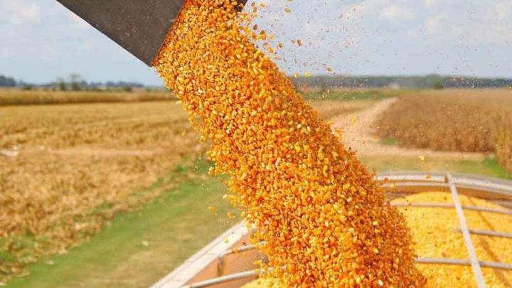 Entre 2011 y 2022 la economía pampeana creció un 8,7%
