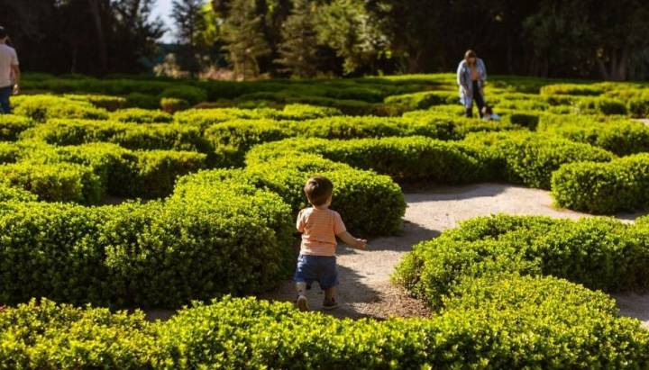 VIDEO: Inauguran el primer parque urbano situado al interior de Parque del Recuerdo