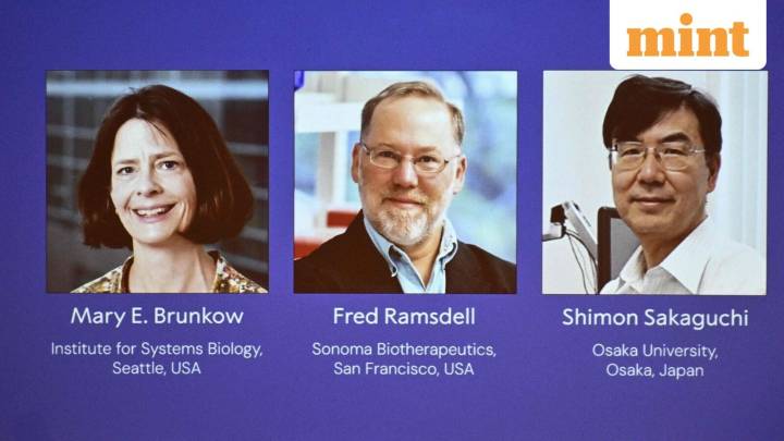 Nobel Prize 2025 in Medicine out now. What the honor means, full schedule