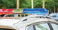 Grandmother ‘Viciously Attacked’ And Killed By Neighbor’s Dogs in Georgia: Sheriff