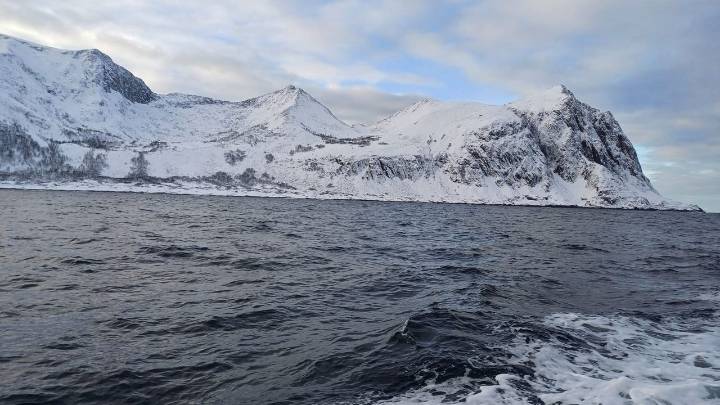 El hallazgo imposible en las profundidades del Ártico podría ser una realidad: encontrar vida en un lugar improbable