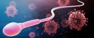 COVID's Surprising Effect on Sperm May Impact Future Generations