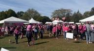 Albany’s Largest Cancer Walk Celebrates 30 Years