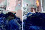 Cat Owner Has Knee Surgery—What She Does During Recovery Melts Her Heart
