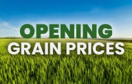 Opening grain prices Tuesday, October 28