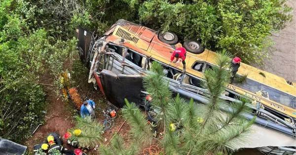 Tragedia vial en Misiones: un micro cayó a un arroyo y dejó al menos 8 muertos y 29 heridos