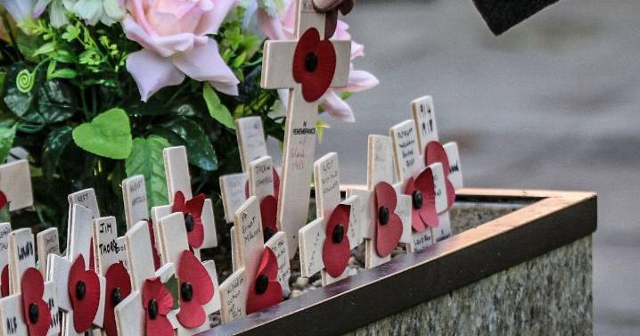 Round up of events as Lincolnshire prepares to mark Remembrance Day