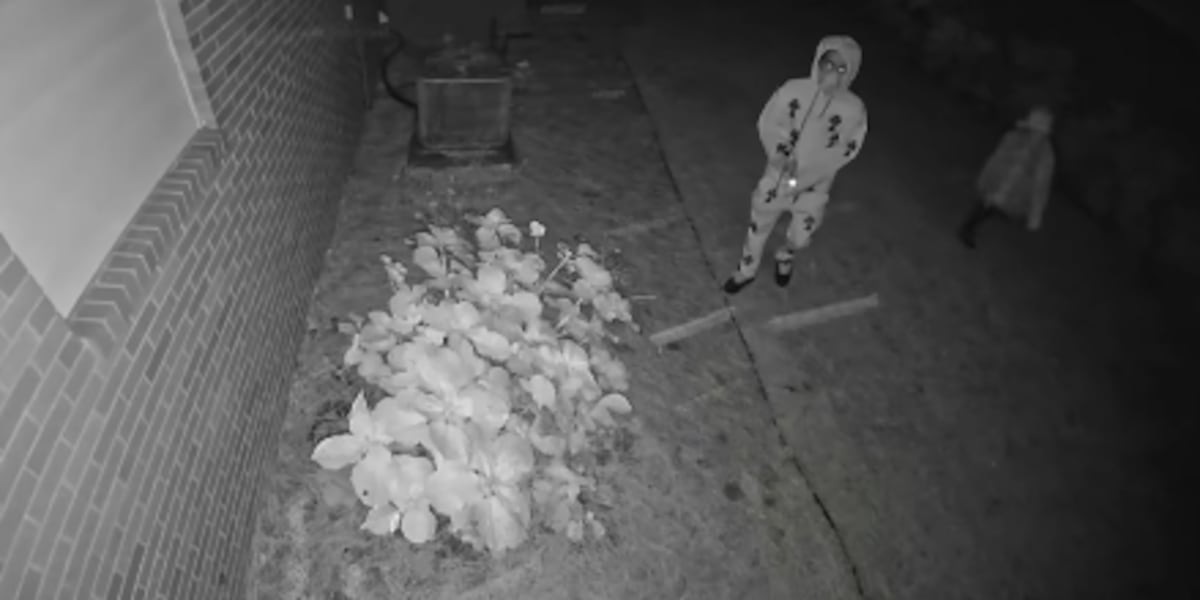 Kinston police investigating suspicious activity caught on home security camera