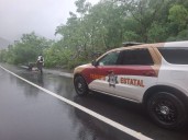 Alerta Tránsito Estatal sobre deslaves en Carretera Rumbo Nuevo