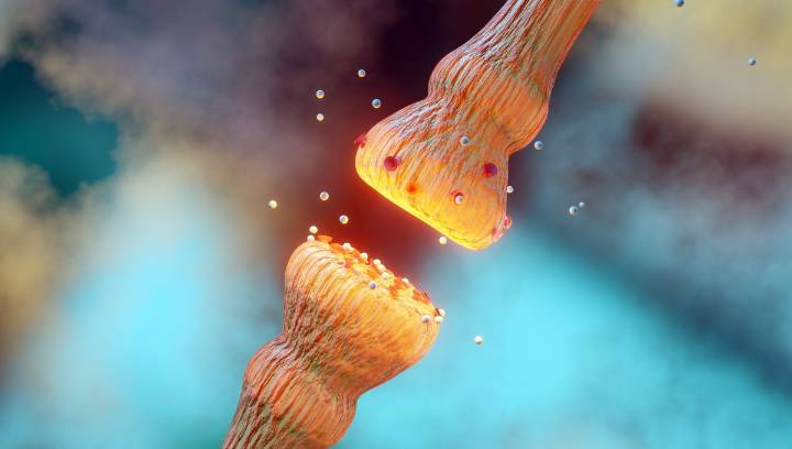 Brain Training That Actually Works: World-First As Key Chemical Levels Restored To Those Of "Someone 10 Years Younger"