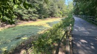 Hike along the Blackstone canal, a key link in RI's industrial past