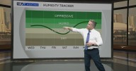 South Florida rain chances increase for Thursday