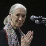 Environmentalists, politicians, celebrities recall life and influence of primatologist Jane Goodall