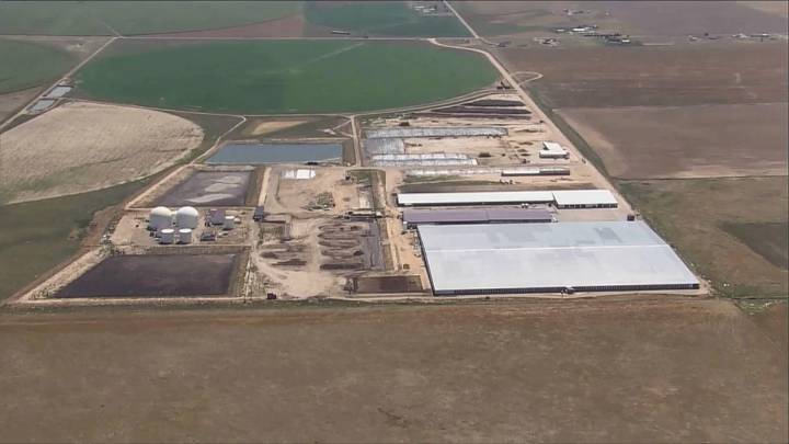 Coroner's report on 6 deaths at Colorado dairy points to toxic gas exposure