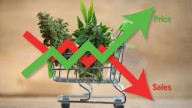 Michigan marijuana sales see largest month-to-month drop since January 2024 alongside rising prices