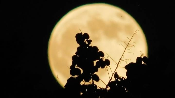 3 supermoons coming in 2025. How to see them