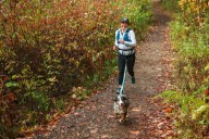 A runner’s best friend: Canicross opens up the possibility of trail running with your dog across Canada