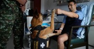 Colombian soldiers find solace in 'furry force' emotional support dogs
