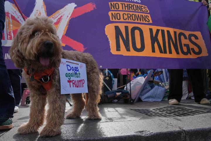 Republicanos consideran protestas de "No a los reyes" contra Trump como de "odio a EU"