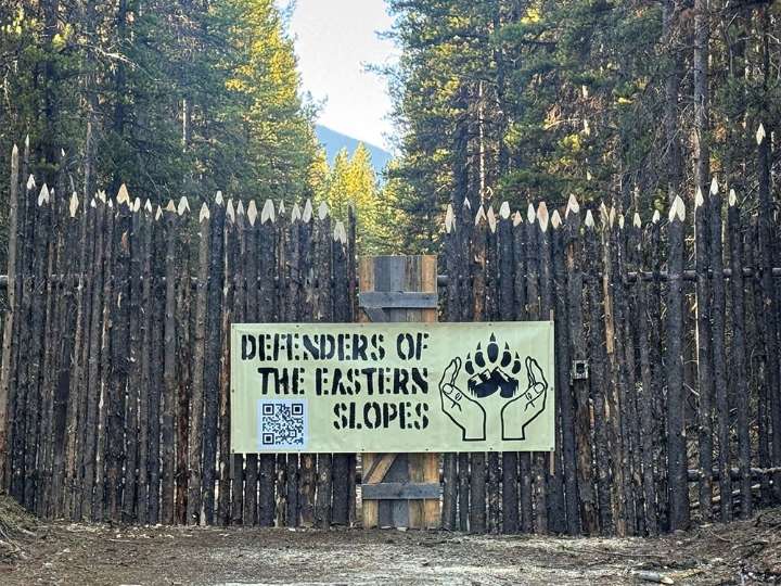 Activists blockade road to halt logging in south Kananaskis