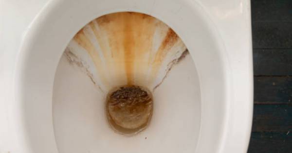 Ni bicarbonato ni lavandina: el producto casero que elimina las manchas del inodoro y lo deja sin sarro