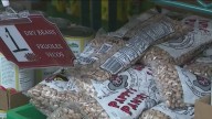 San Diego Food Bank CEO responds to Newsom deploying National Guard troops