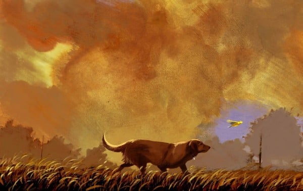 En un mundo tóxico, las mascotas podrían ser centinelas de nuestra salud