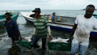 Pescadores colombianos expresan preocupación por ataques de EE.UU. en el Caribe