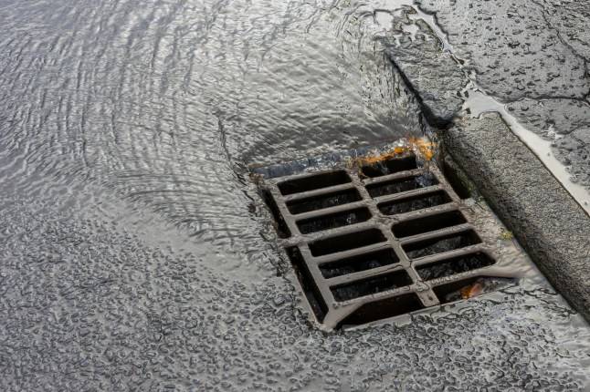 Woman in west London ‘shocked’ over £150 fine for pouring coffee down drain
