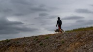It can affect people and dogs, Valley fever is on the rise in the Bay Area