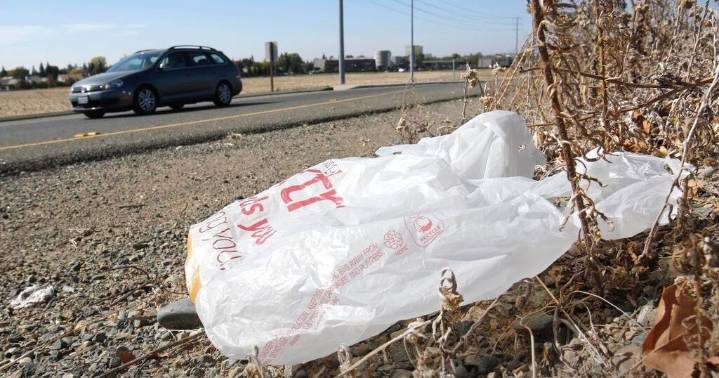 California lawsuit says makers of plastic bags lied about products being recyclable