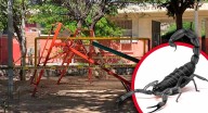 Pierde la vida menor de 5 años por picadura de alacrán en preescolar de Hermosillo; falleció en el hospital