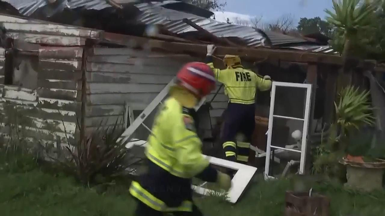 Man killed by tree branch as storm buffets Wellington, New Zealand