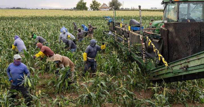 Farmers are demanding a bailout but Trump may need a China deal to pull that off